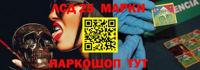 сатива Новозыбков