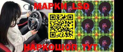 сатива Новозыбков