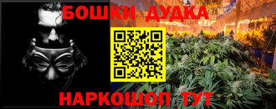 сатива Новозыбков