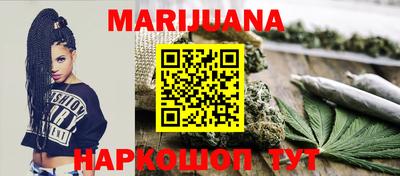 сатива Новозыбков
