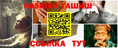 сатива Новозыбков