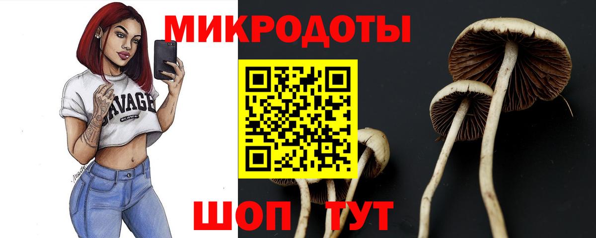 Псилоцибиновые грибы MAGIC MUSHROOMS Северск